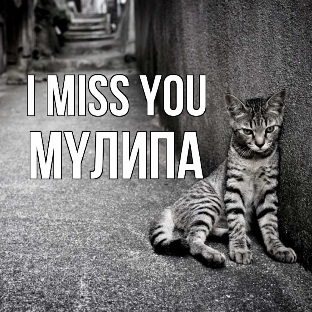 Greetings card с именем, МҮЛИПА I miss you одиноко котику Greetings with text for free download 