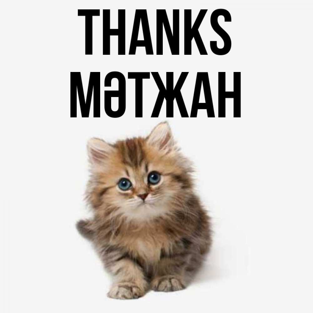 Greetings card с именем, МӘТЖАН Thanks пушистый котик Greetings with text for free download 