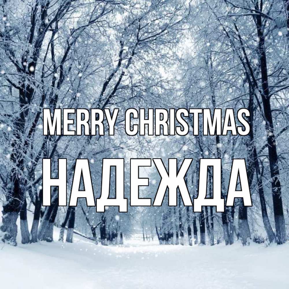 Greetings card с именем, Надежда Merry Christmas снег, лес, парк Greetings with text for free download 