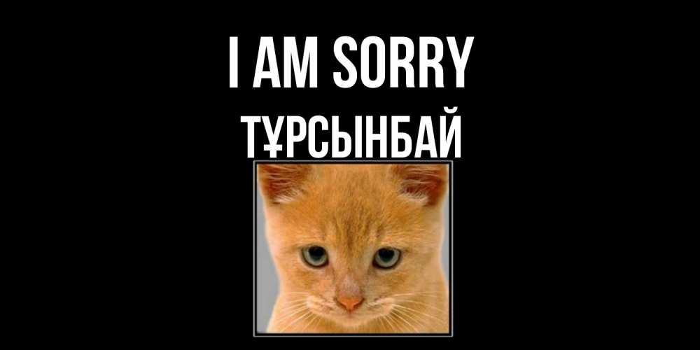 Greetings card с именем, ТҰРСЫНБАЙ I am sorry рыжий грустный кот просит прощения Greetings with text for free download 