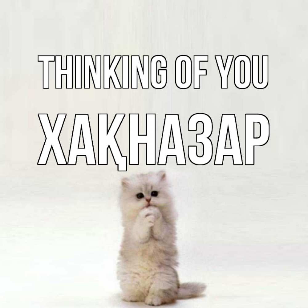 Greetings card с именем, ХАҚНАЗАР Thinking of you кот стоит на задних лапах Greetings with text for free download 