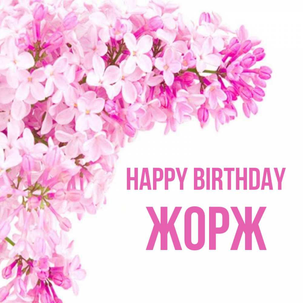 Greetings card с именем, Жорж Happy Birthday Сирень на белом фоне Greetings with text for free download 