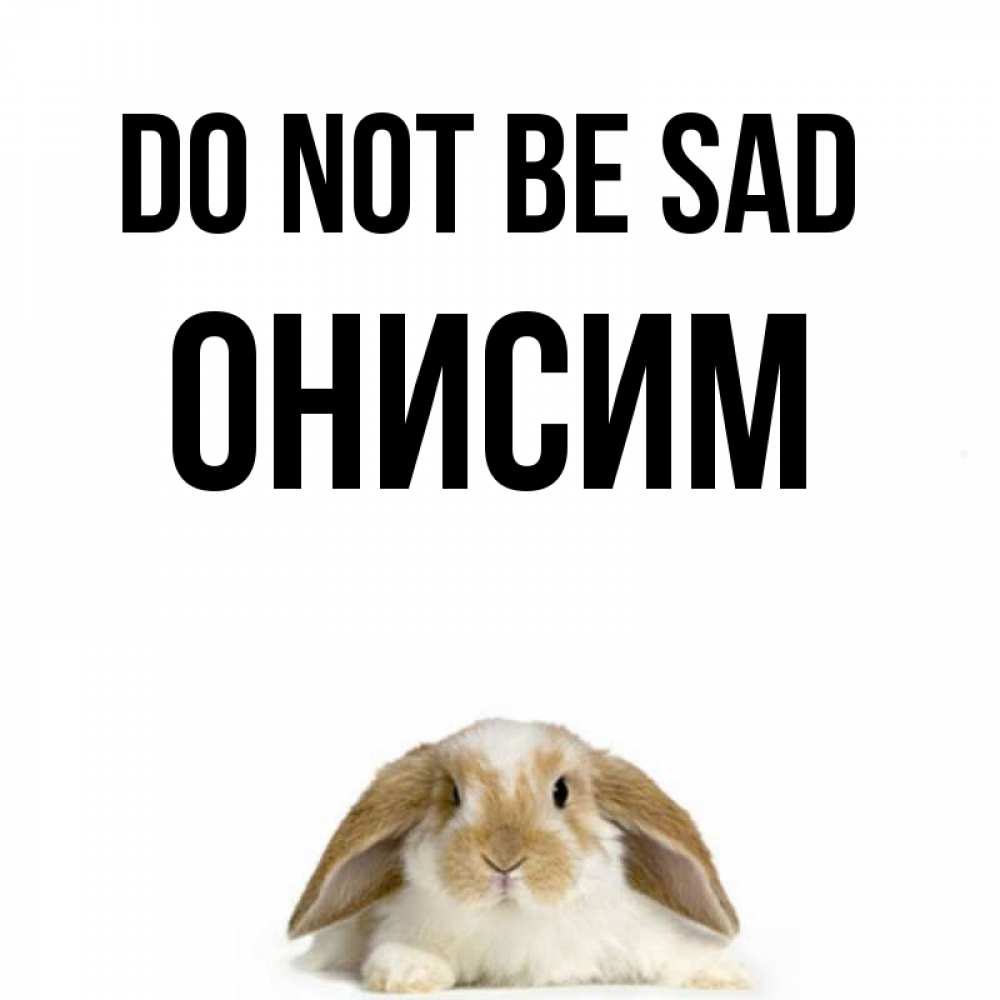 Greetings card с именем, Онисим Do not be sad коричнево белый заяц с большими ушками Greetings with text for free download 