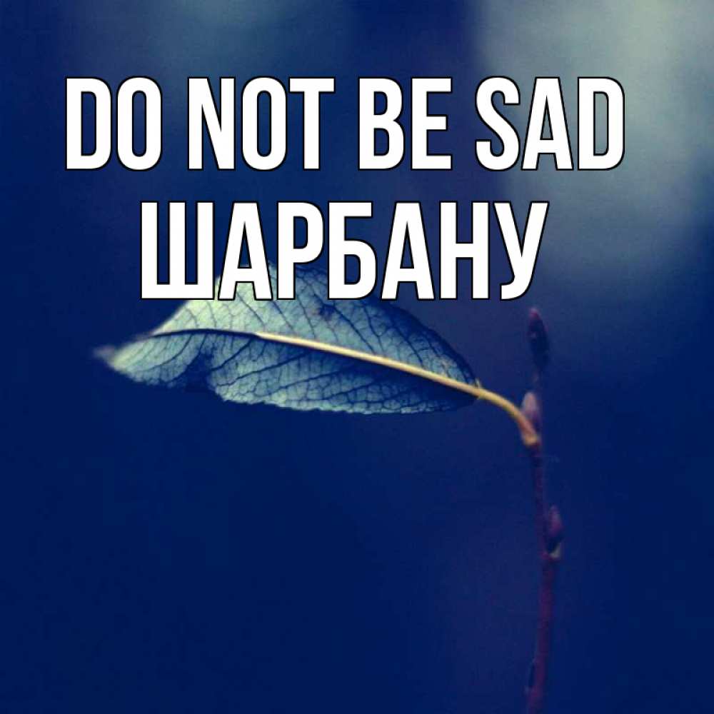 Greetings card с именем, ШАРБАНУ Do not be sad растение Greetings with text for free download 