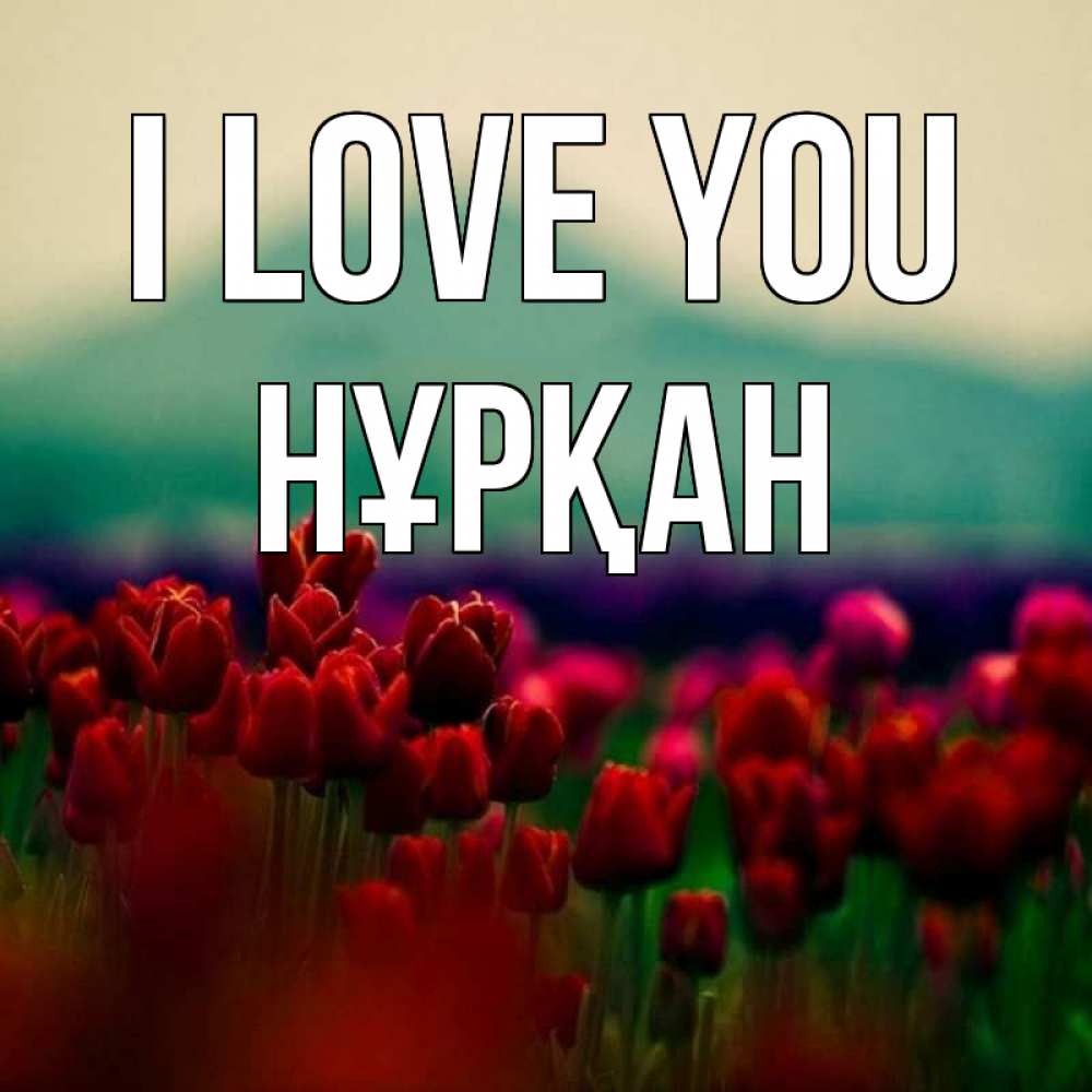 Greetings card с именем, Нұрқан I love you тюльпаны 4 Greetings with text for free download 