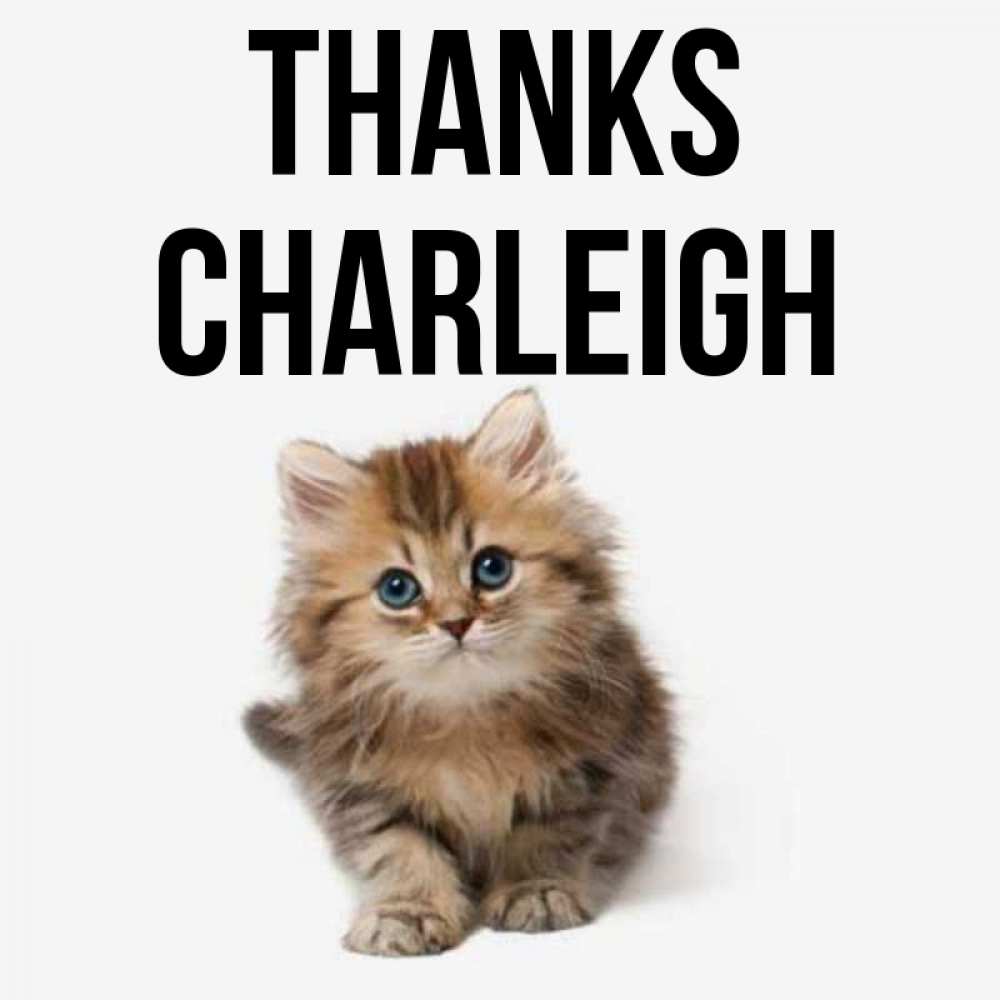 Greetings card с именем, Charleigh Thanks пушистый котик Greetings with text for free download 