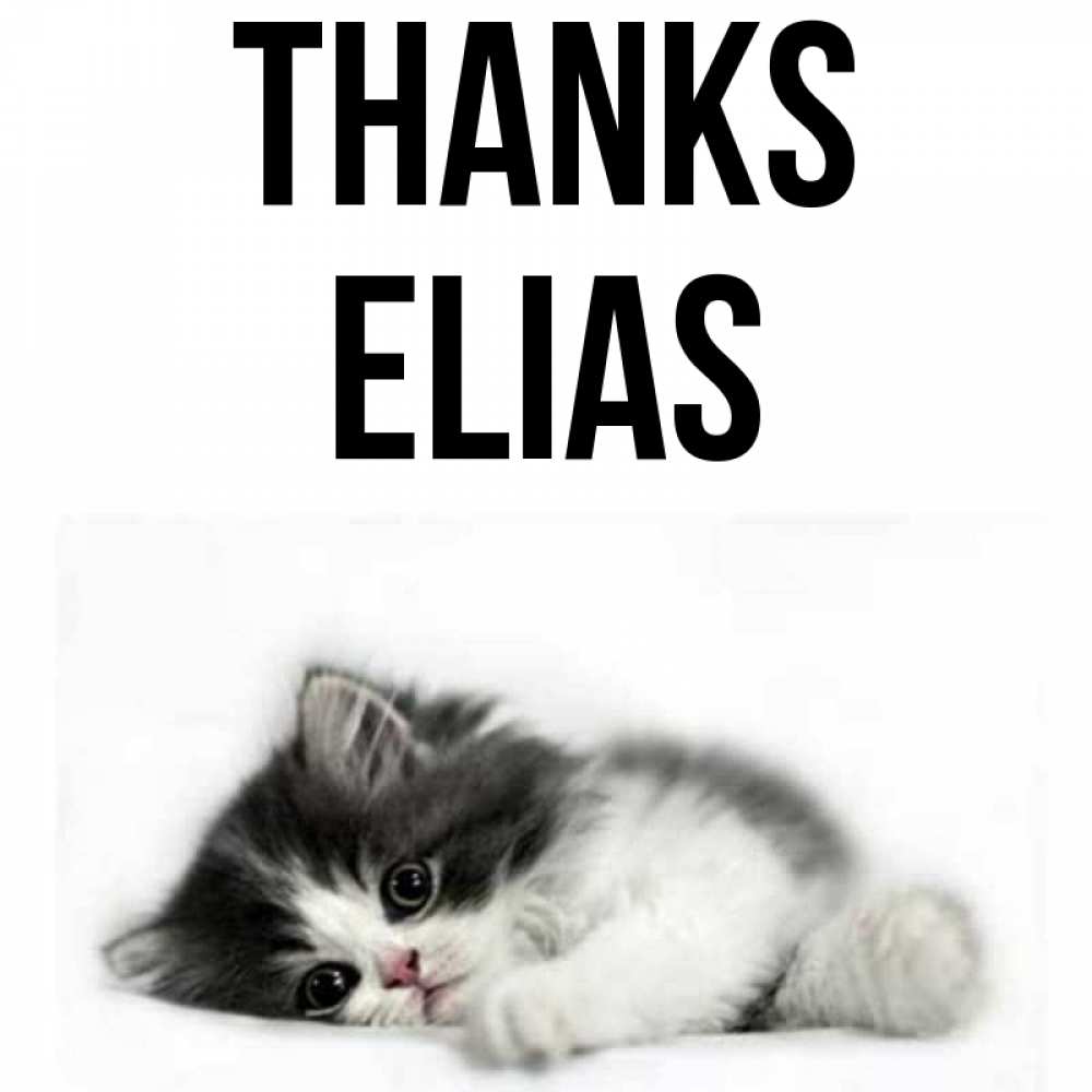 Greetings card с именем, Elias Thanks черный и белый кот Greetings with text for free download 