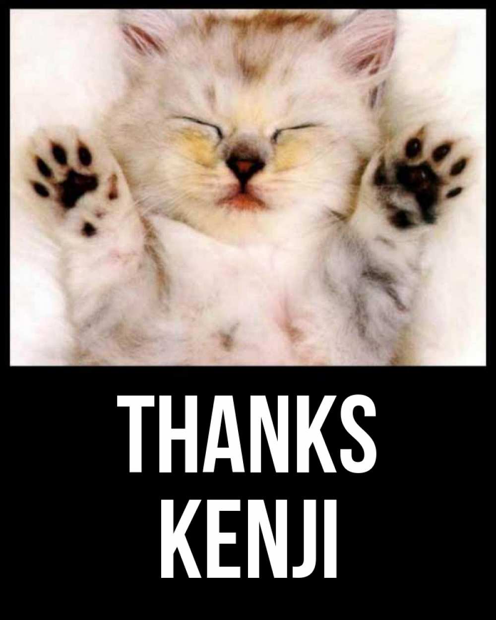 Greetings card с именем, Kenji Thanks маленький котенок Greetings with text for free download 