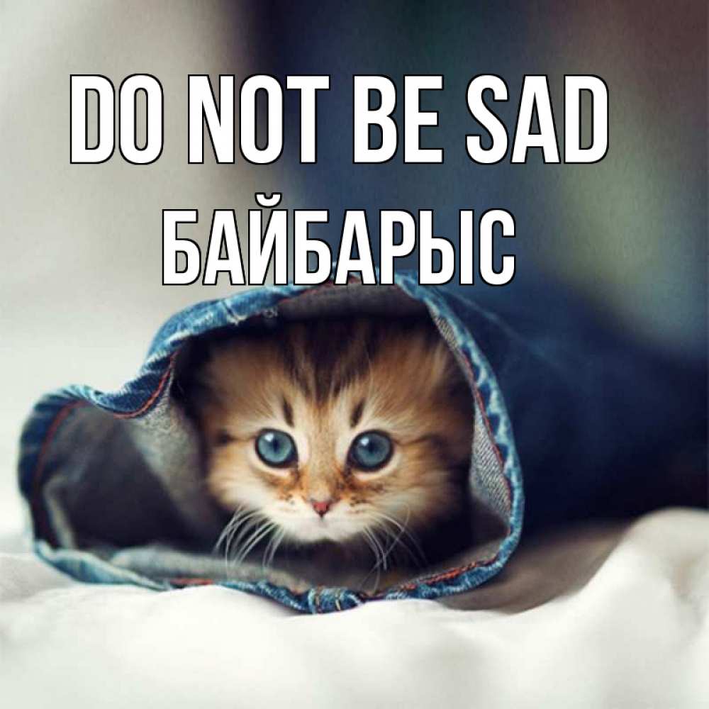 Greetings card с именем, Байбарыс Do not be sad рыжик котик Greetings with text for free download 