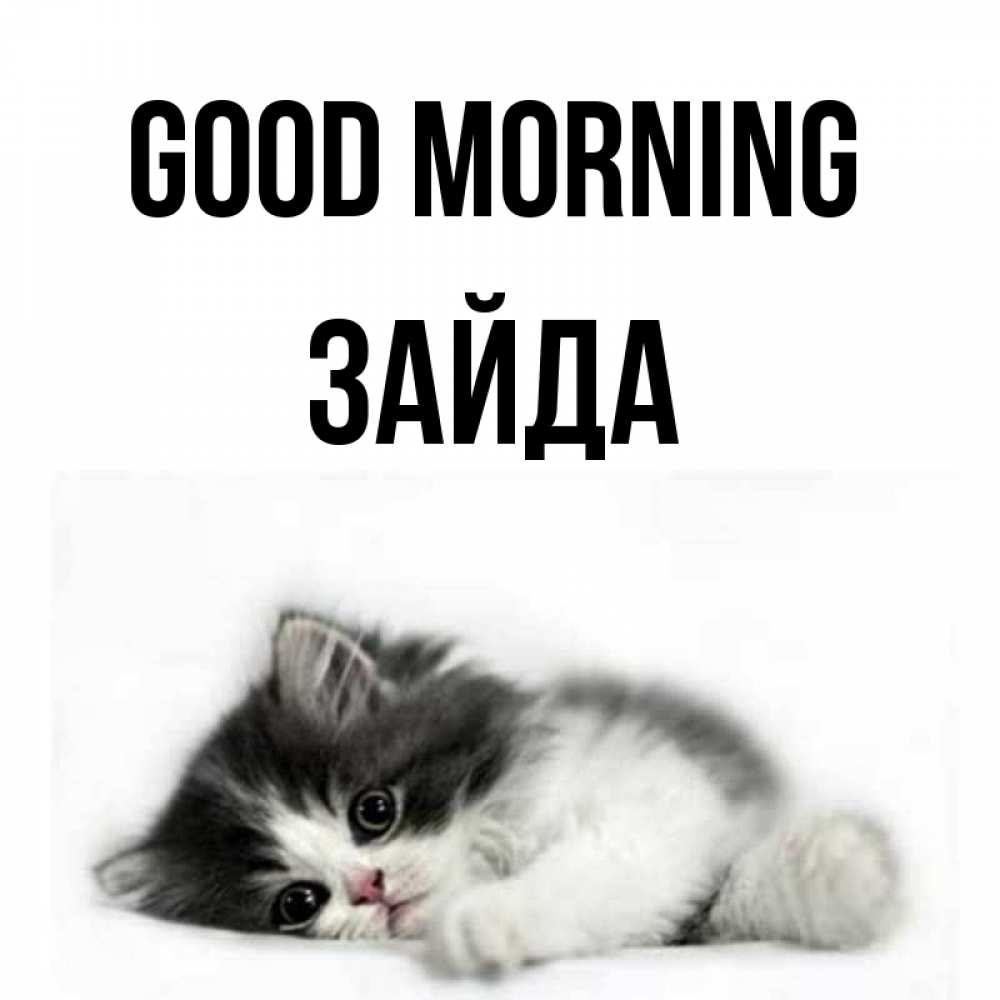 Greetings card с именем, ЗАЙДА Good morning кот лапки Greetings with text for free download 