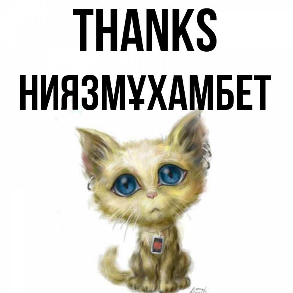 Greetings card с именем, НИЯЗМҰХАМБЕТ Thanks рисованный кот благодарит вас Greetings with text for free download 