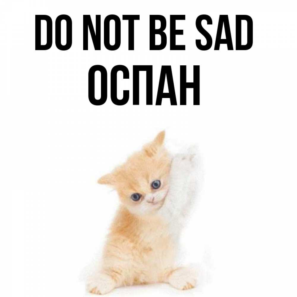 Greetings card с именем, ОСПАН Do not be sad просящий кот Greetings with text for free download 