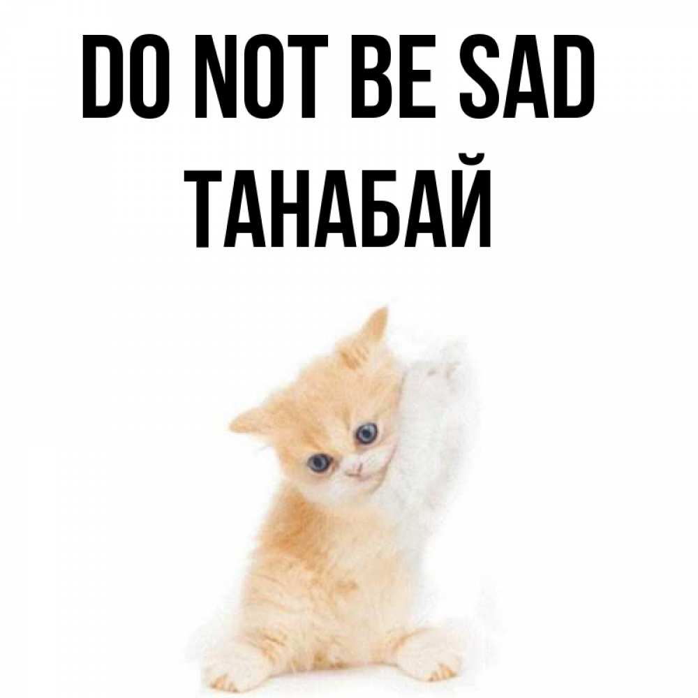 Greetings card с именем, ТАНАБАЙ Do not be sad просящий кот Greetings with text for free download 