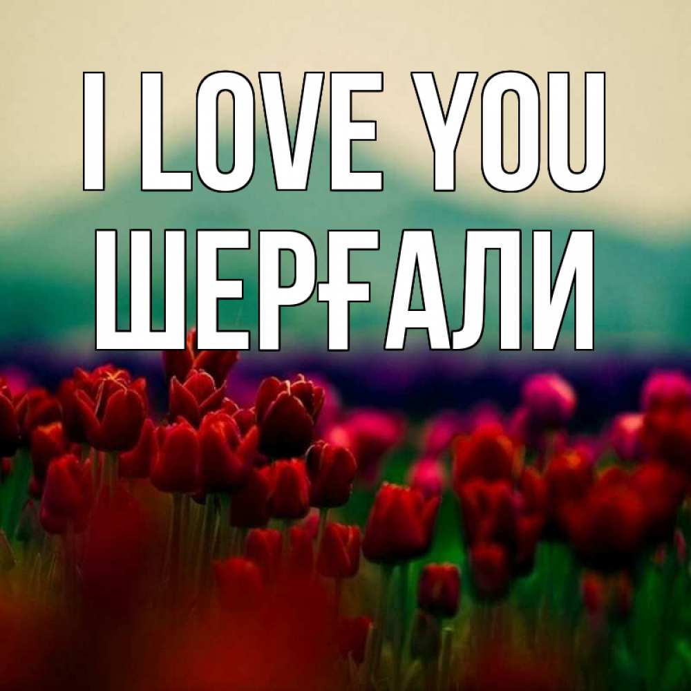 Greetings card с именем, ШЕРҒАЛИ I love you тюльпаны 4 Greetings with text for free download 