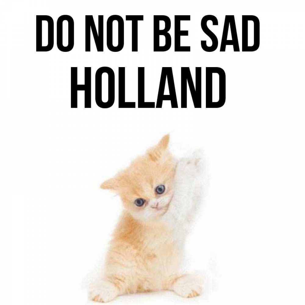 Greetings card с именем, Holland Do not be sad просящий кот Greetings with text for free download 