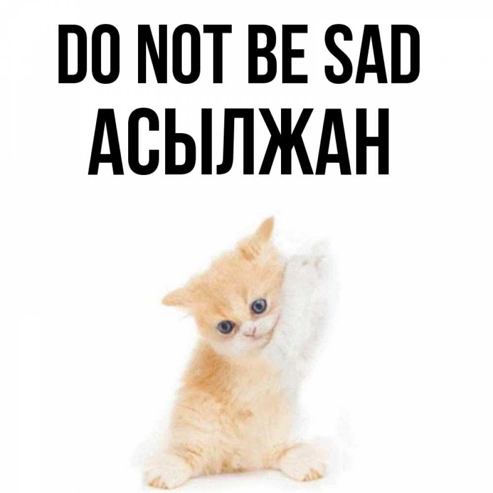Greetings card с именем, Асылжан Do not be sad просящий кот Greetings with text for free download 