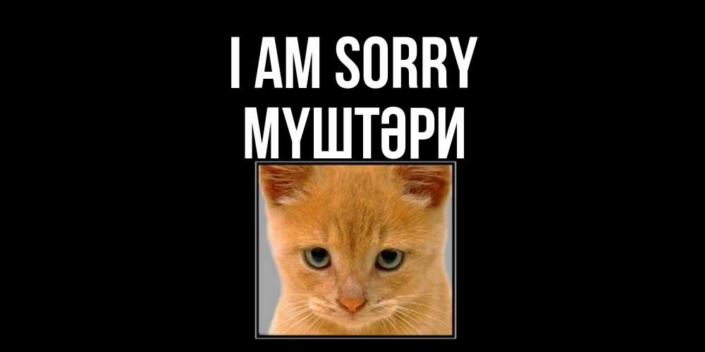 Greetings card с именем, МҮШТӘРИ I am sorry рыжий грустный кот просит прощения Greetings with text for free download 