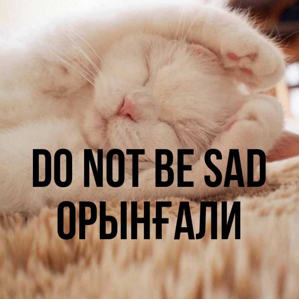 Greetings card с именем, ОРЫНҒАЛИ Do not be sad Котенок спит Greetings with text for free download 