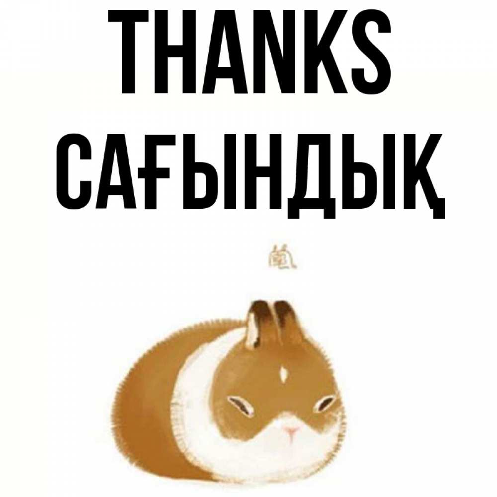 Greetings card с именем, САҒЫНДЫҚ Thanks коричнево белый домашний питомец Greetings with text for free download 