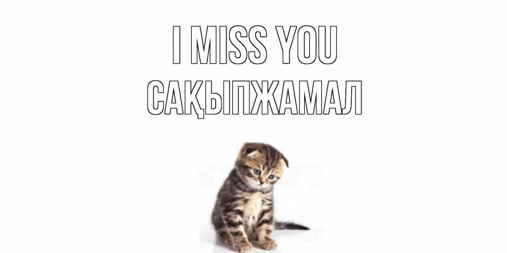 Greetings card с именем, САҚЫПЖАМАЛ I miss you кот Greetings with text for free download 