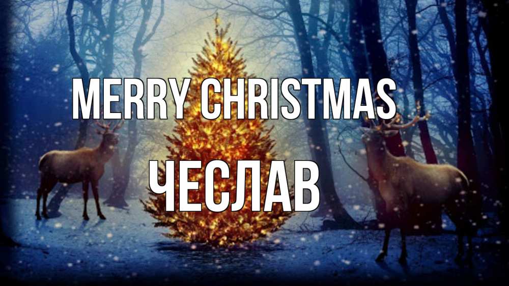 Greetings card с именем, Чеслав Merry Christmas олени, новогодняя елка Greetings with text for free download 