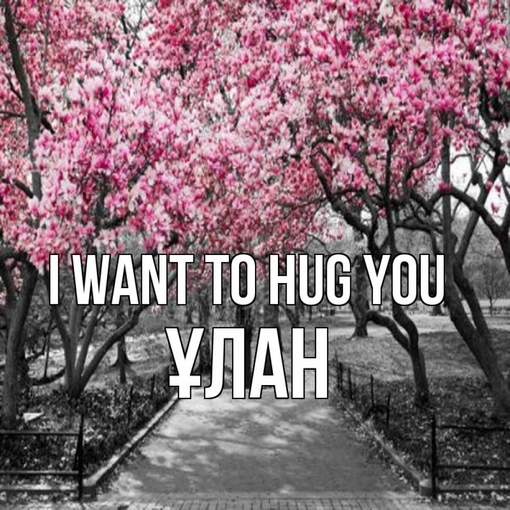 Greetings card с именем, ҰЛАН I want to hug you обработанное фото Greetings with text for free download 