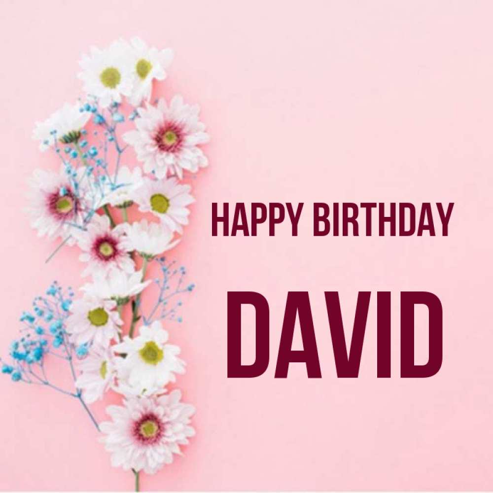 Greetings card с именем, David Happy Birthday Родная моя с днем рождения тебя картинка с цветами белыми и голубыми Greetings with text for free download 