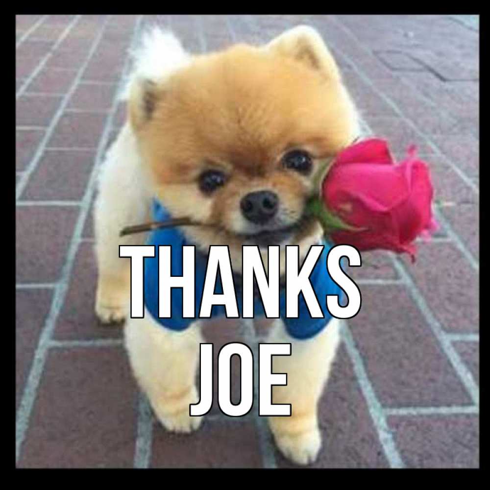 Greetings card с именем, Joe Thanks спасибо и дарю тебе цветок Greetings with text for free download 