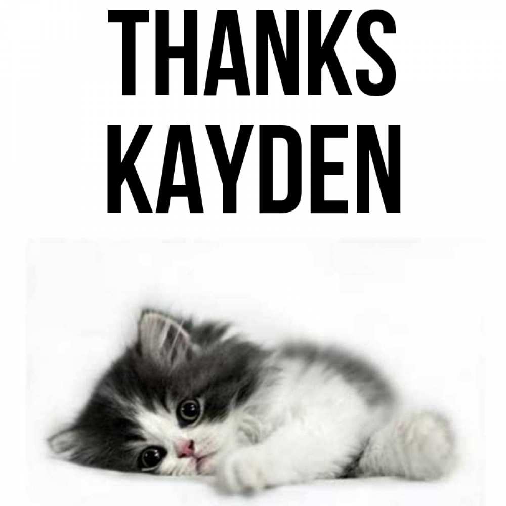 Greetings card с именем, Kayden Thanks черный и белый кот Greetings with text for free download 