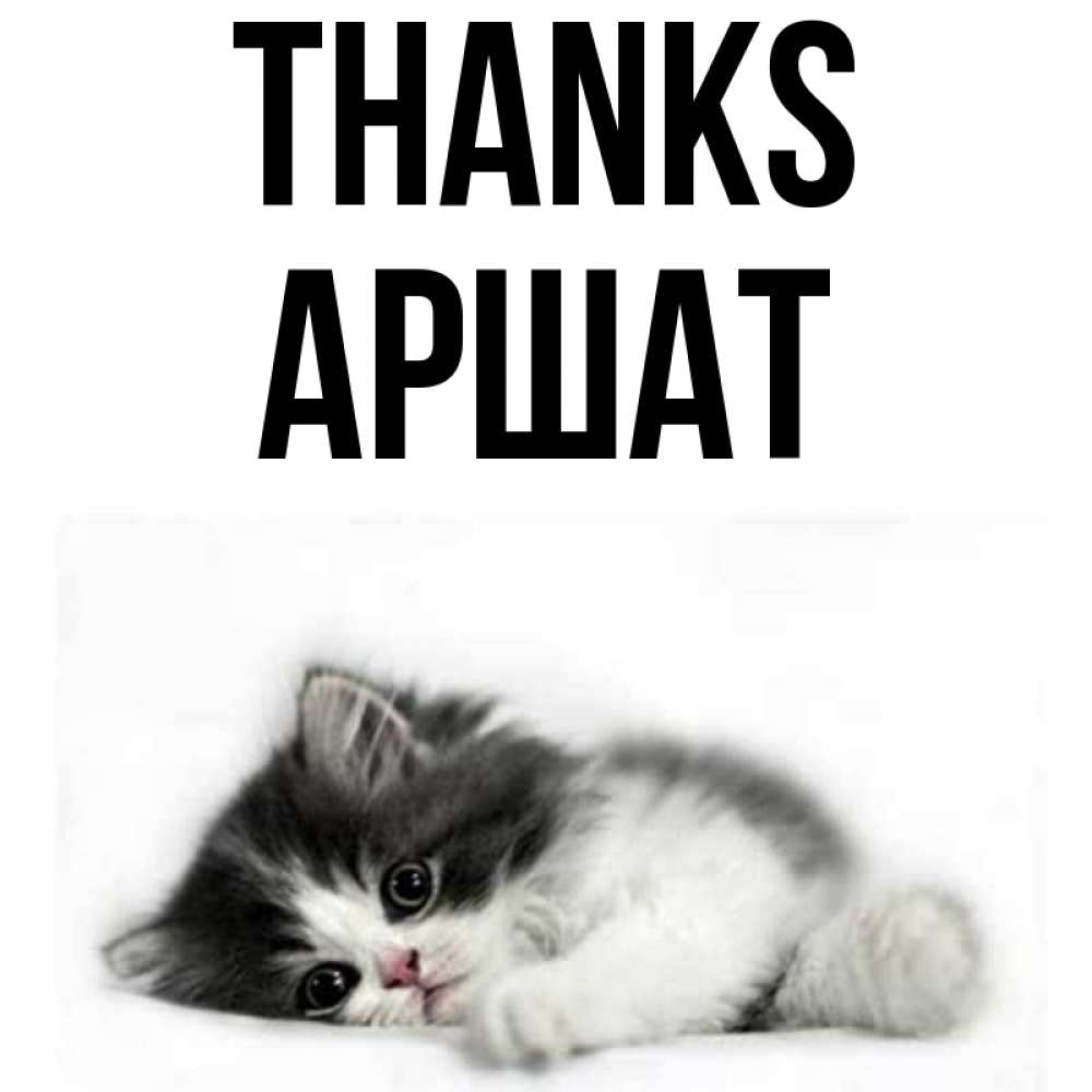 Greetings card с именем, АРШАТ Thanks черный и белый кот Greetings with text for free download 