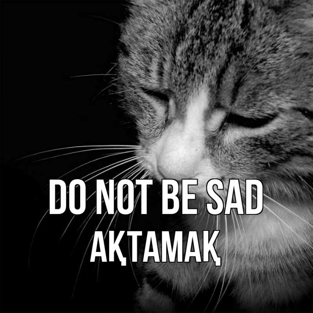 Greetings card с именем, Ақтамақ Do not be sad грустный котик Greetings with text for free download 