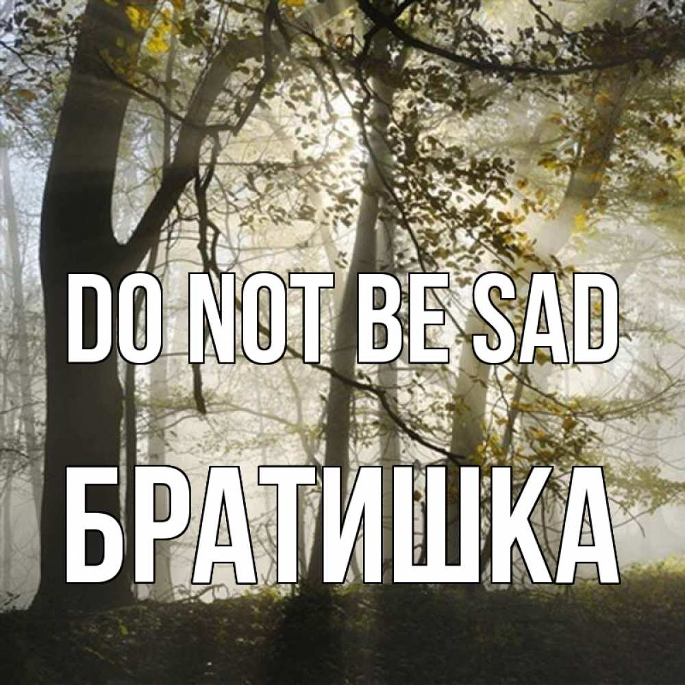 Greetings card с именем, Братишка Do not be sad лес и свет Greetings with text for free download 