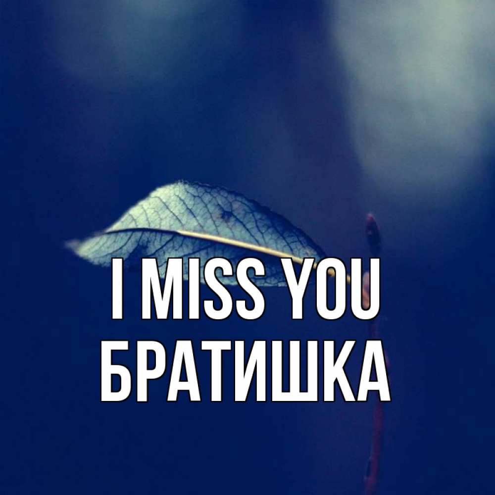 Greetings card с именем, Братишка I miss you одна ветка 1 Greetings with text for free download 