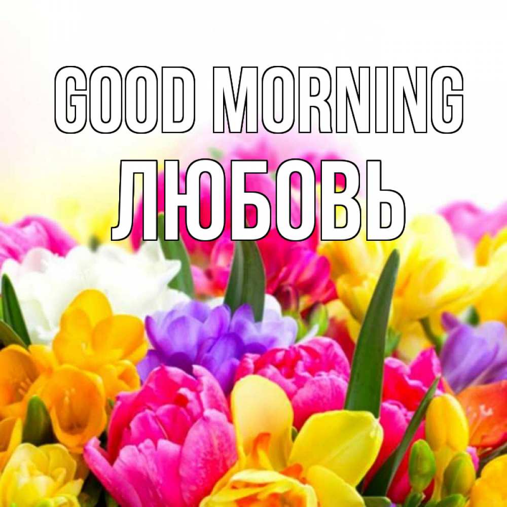 Greetings card с именем, Любовь Good morning создать открытку со свое подписью Greetings with text for free download 