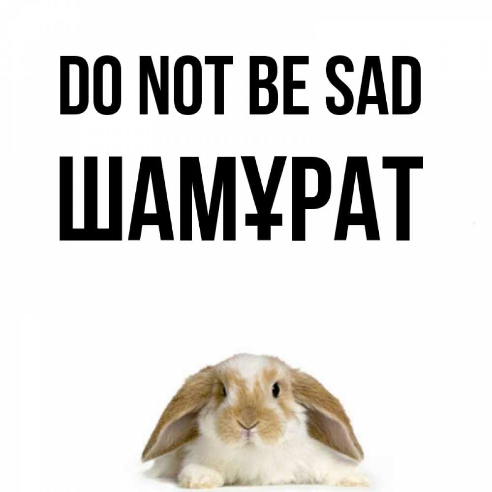 Greetings card с именем, ШАМҰРАТ Do not be sad коричнево белый заяц с большими ушками Greetings with text for free download 