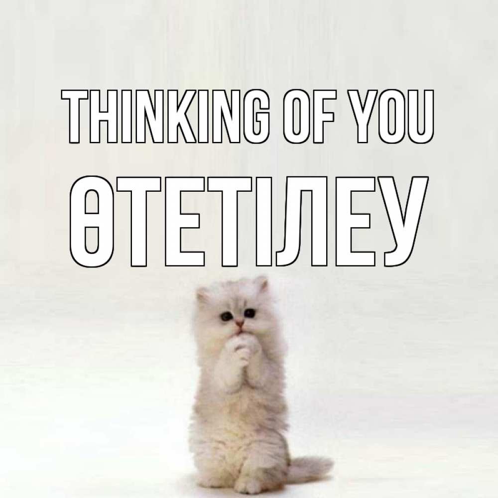 Greetings card с именем, ӨТЕТІЛЕУ Thinking of you кот стоит на задних лапах Greetings with text for free download 