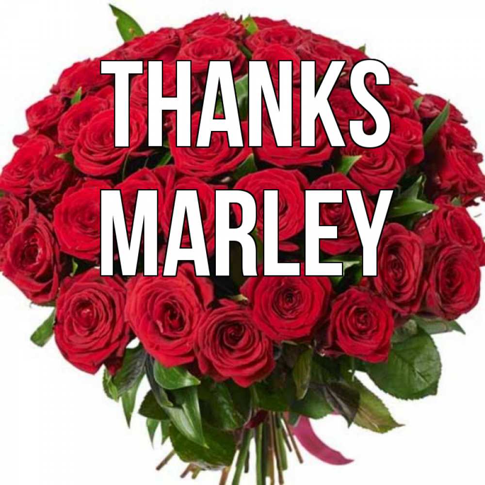 Greetings card с именем, Marley Thanks букет красных роз Greetings with text for free download 