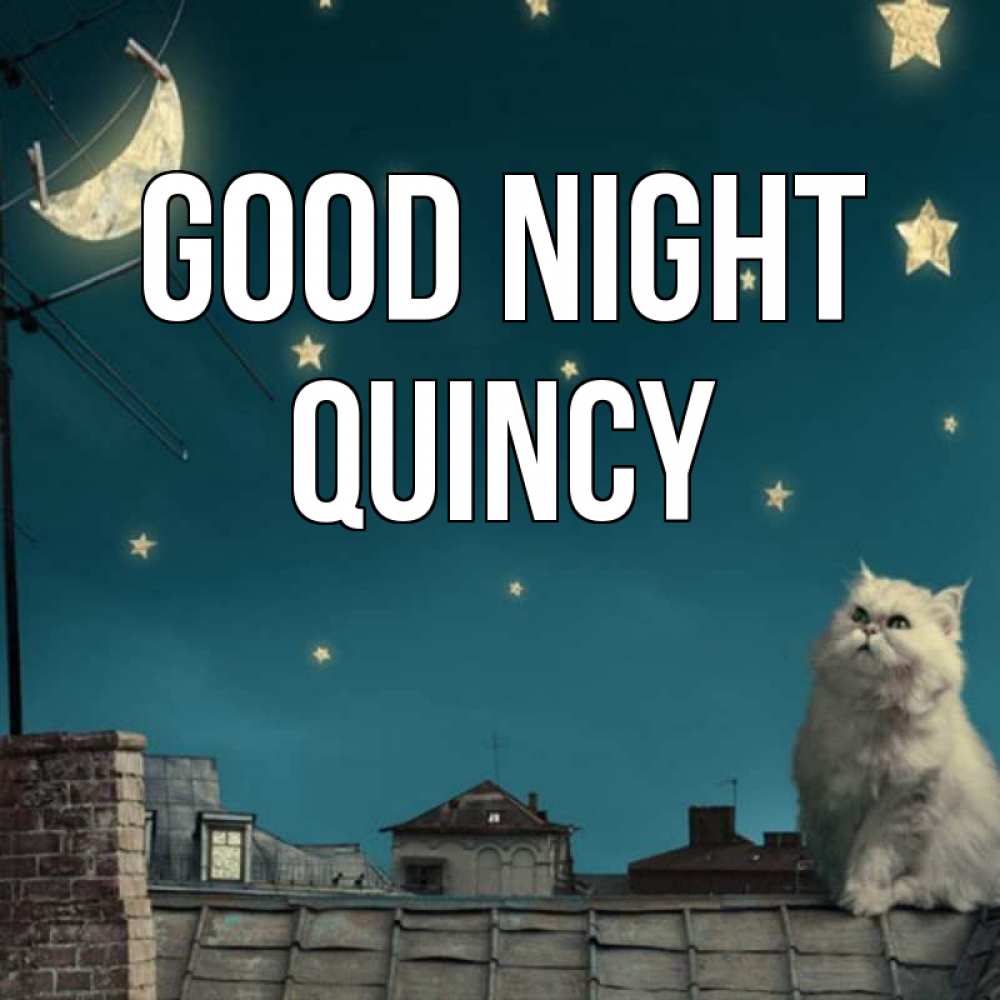 Greetings card с именем, Quincy Good night белый кот сидит на крыше Greetings with text for free download 