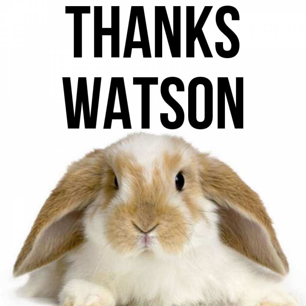 Greetings card с именем, Watson Thanks коричнево белый заяц Greetings with text for free download 