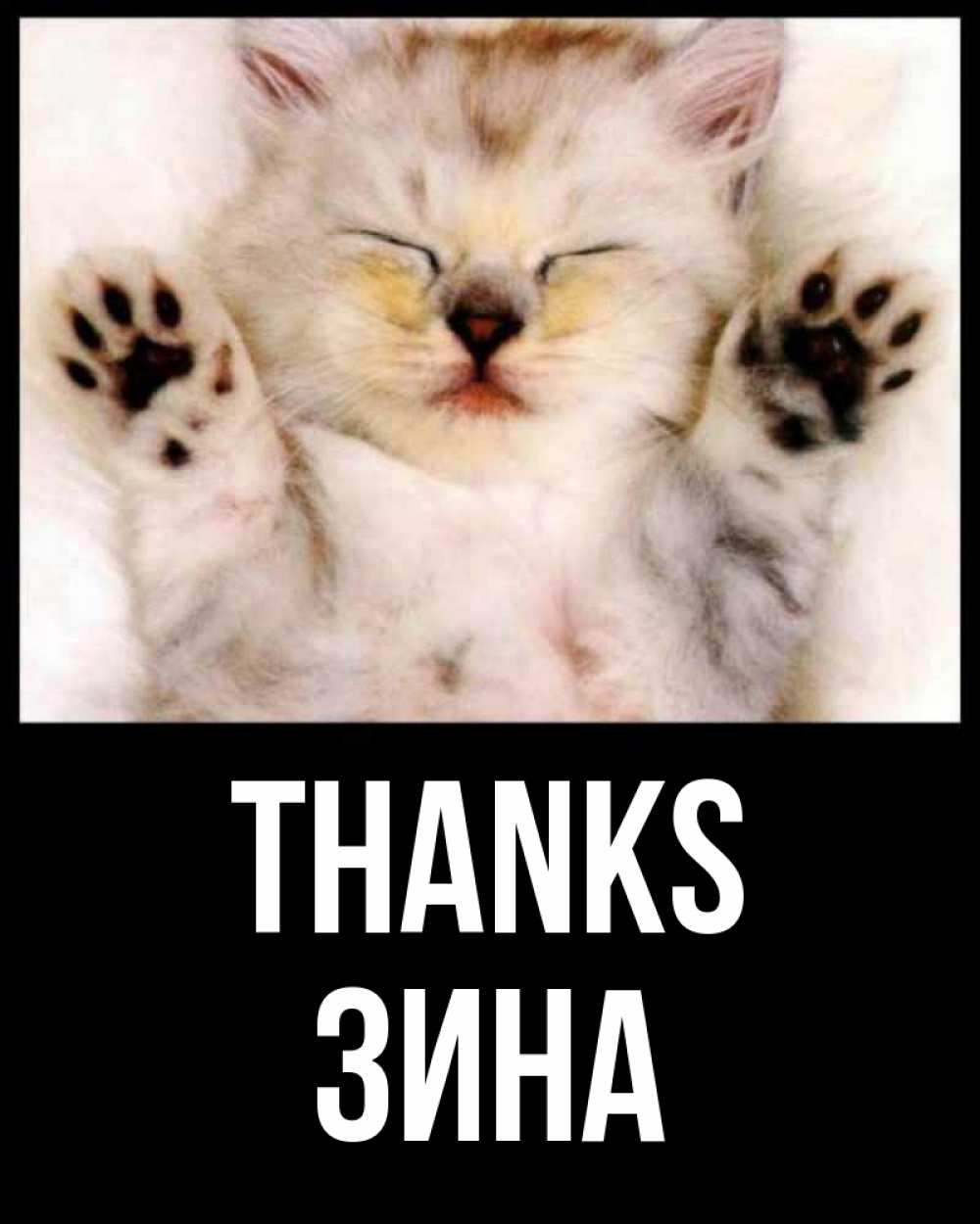 Greetings card с именем, Зина Thanks маленький котенок Greetings with text for free download 