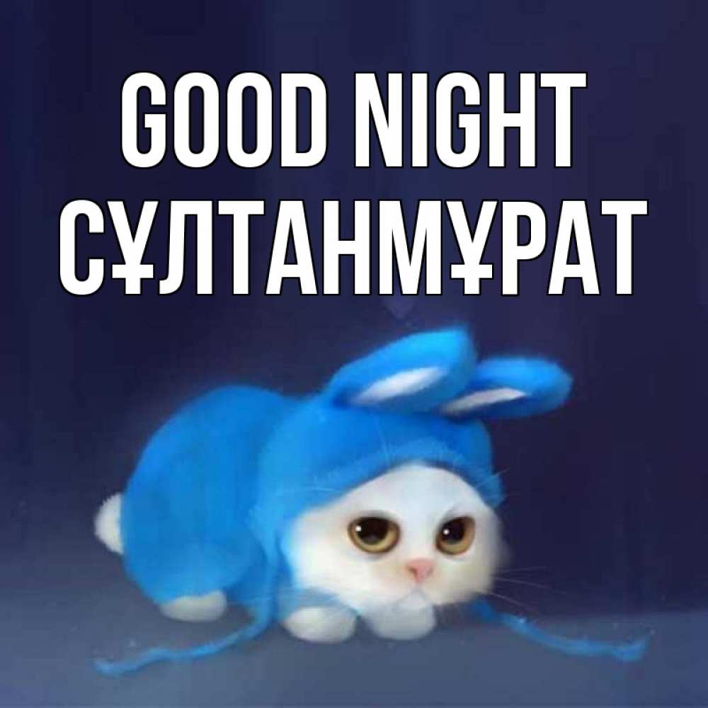 Greetings card с именем, СҰЛТАНМҰРАТ Good night кот в голубом костюме кролика с ушками Greetings with text for free download 