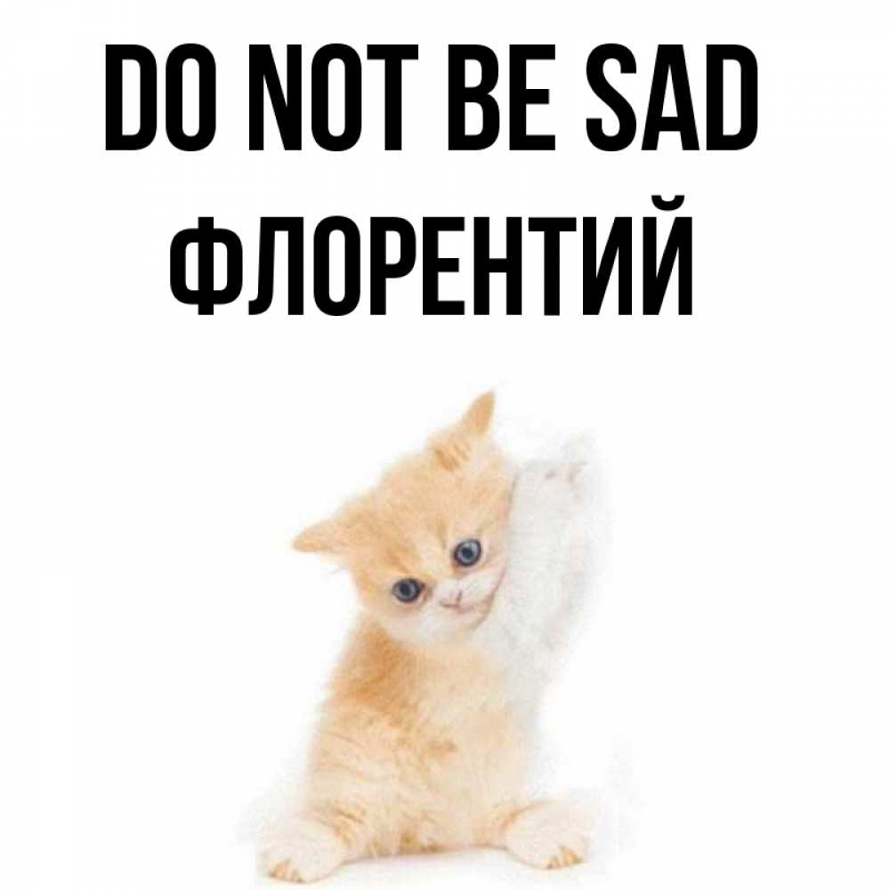 Greetings card с именем, Флорентий Do not be sad просящий кот Greetings with text for free download 