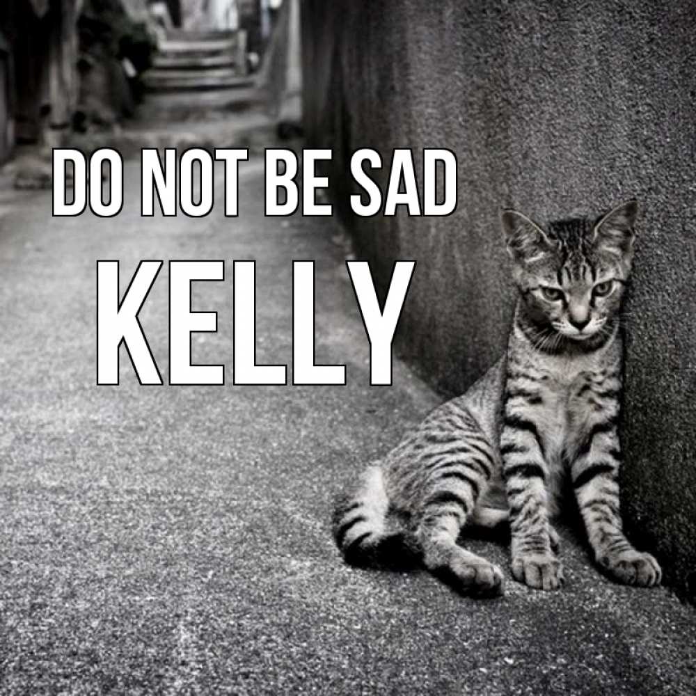 Greetings card с именем, Kelly Do not be sad скучающий котик Greetings with text for free download 