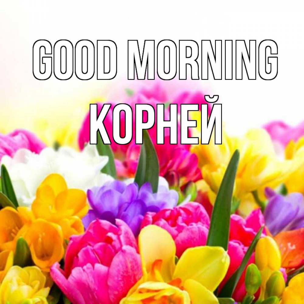 Greetings card с именем, Корней Good morning создать открытку со свое подписью Greetings with text for free download 