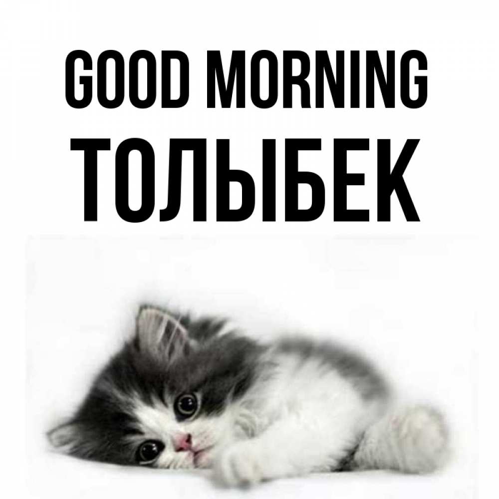 Greetings card с именем, ТОЛЫБЕК Good morning кот лапки Greetings with text for free download 