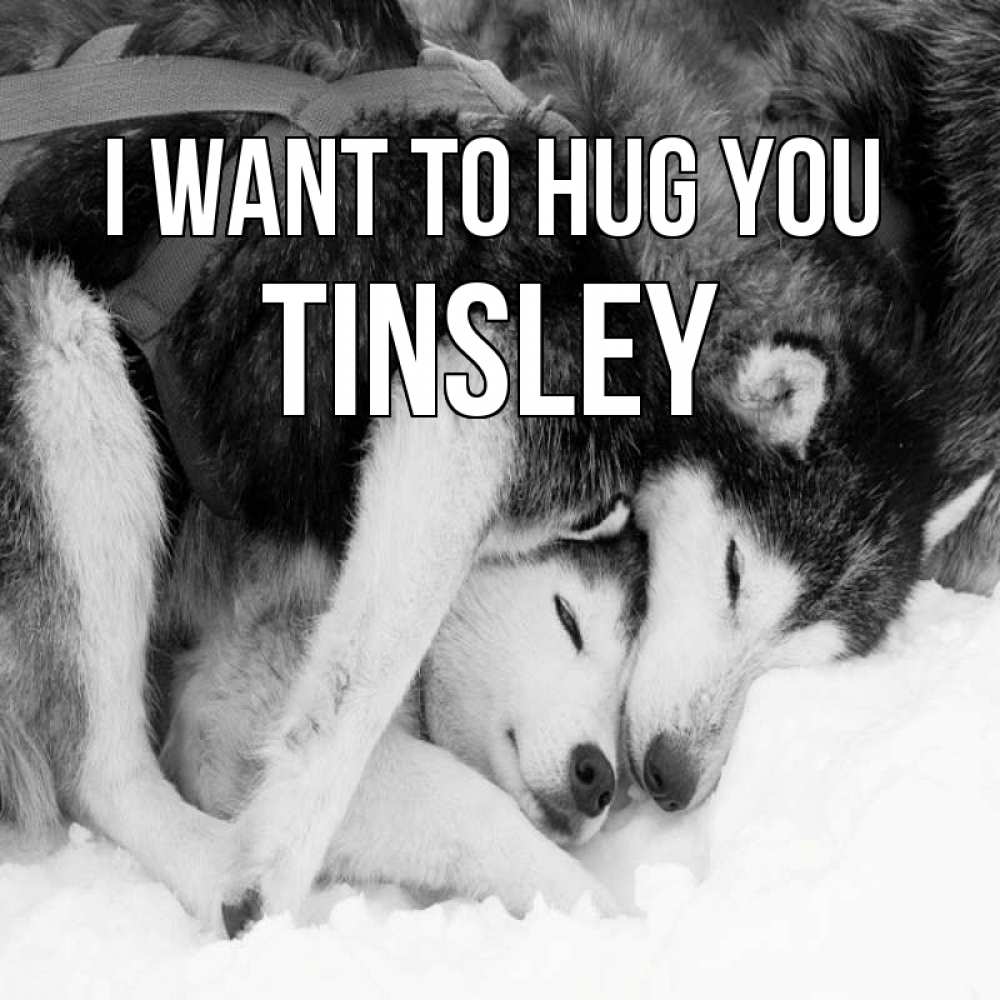 Greetings card с именем, Tinsley I want to hug you собачки в упряжке Greetings with text for free download 