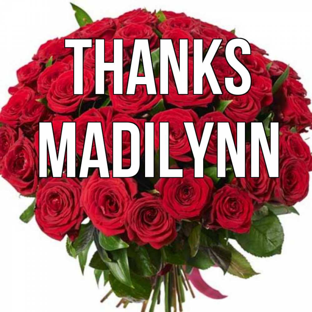 Greetings card с именем, Madilynn Thanks букет красных роз Greetings with text for free download 