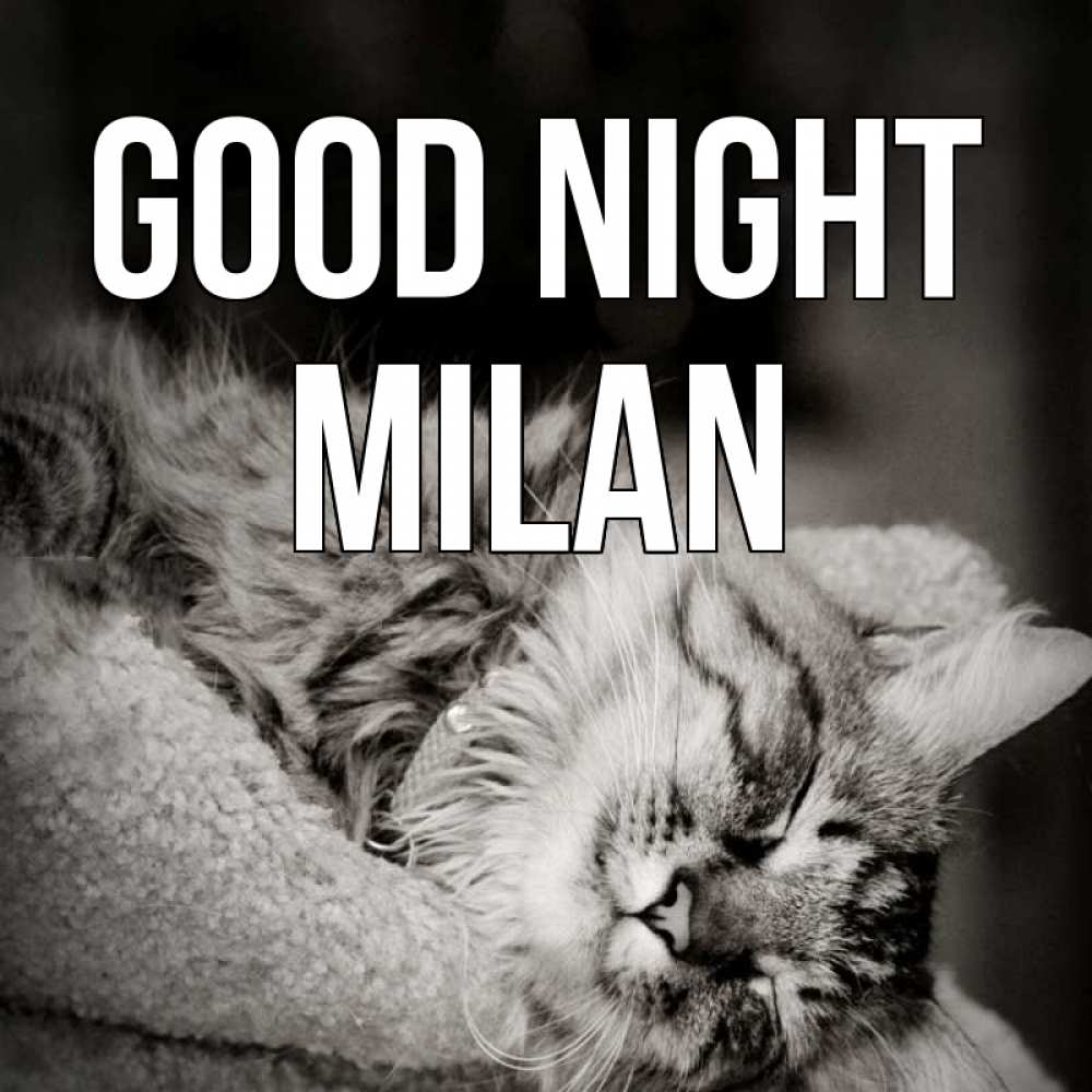Greetings card с именем, Milan Good night котярик пушистый Greetings with text for free download 