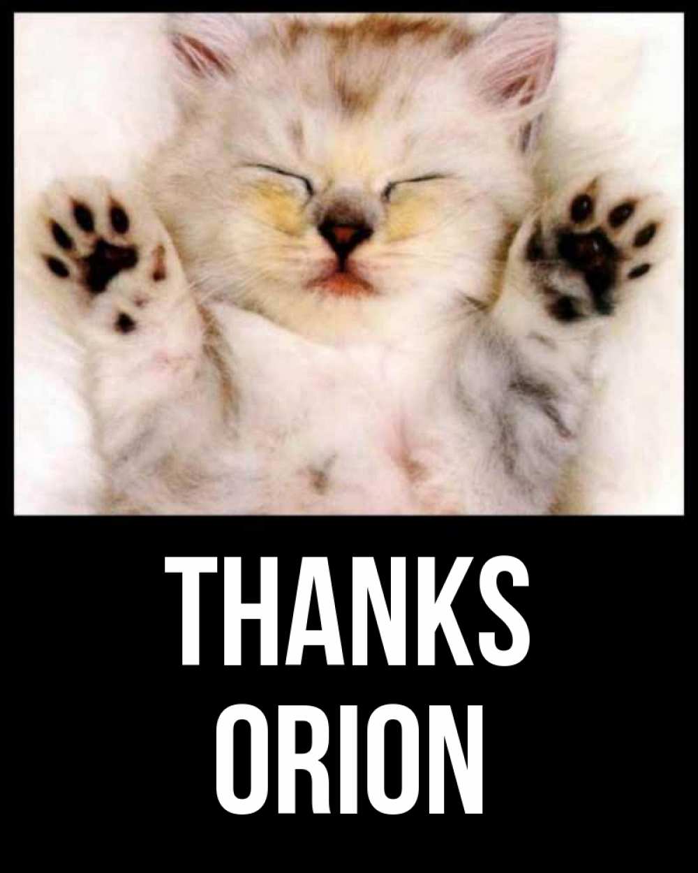 Greetings card с именем, Orion Thanks маленький котенок Greetings with text for free download 