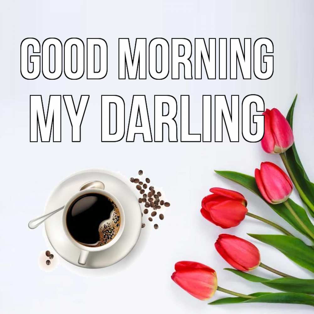 Greetings card с именем, my-darling Good morning красное блюдце Greetings with text for free download 